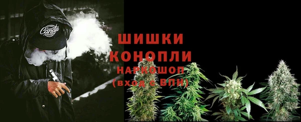 spice Кукмор