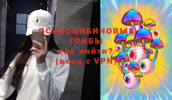 spice Кукмор