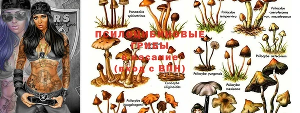 spice Кукмор