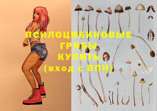 spice Кукмор