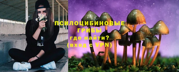 прущая мука Кулебаки