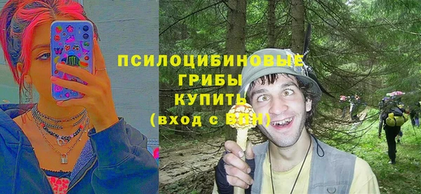 spice Кукмор