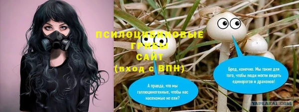 spice Кукмор