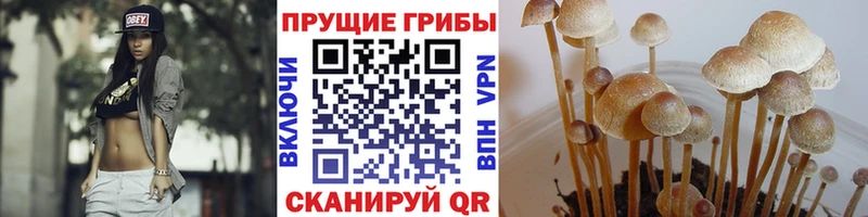 Галлюциногенные грибы прущие грибы  Купить где  Медвежьегорск 