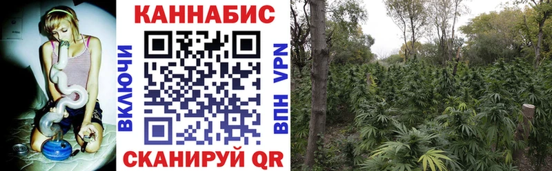 Марихуана сатива  Купить закладки  Медвежьегорск 